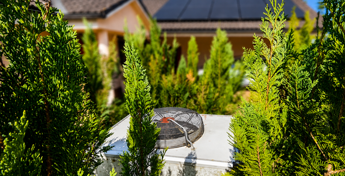 Record-breaker hidden among the thuja trees has been running continuously for 23 years (+VIDEO)