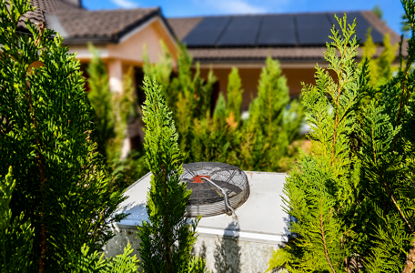 Record-breaker hidden among the thuja trees has been running continuously for 23 years (+VIDEO)